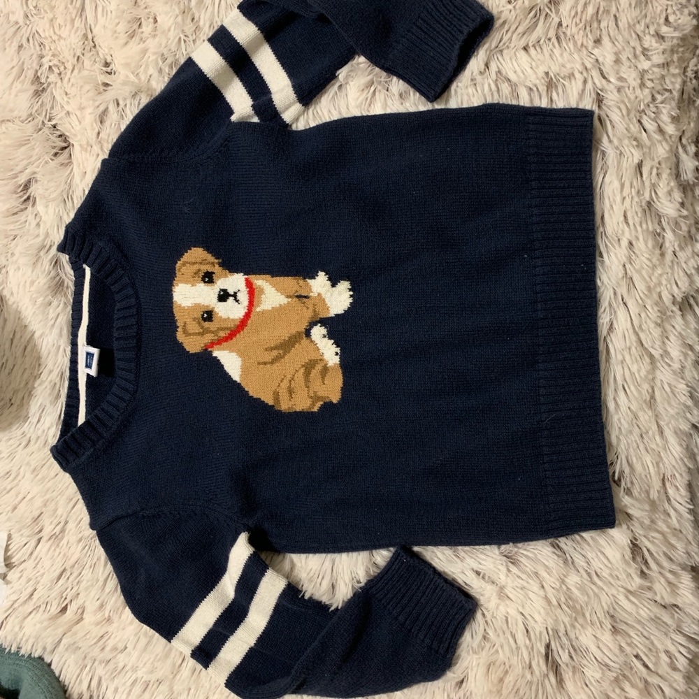 Janie and Jack dog sweater